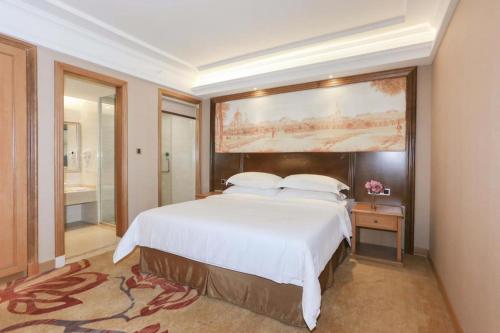 Imagen general del Hotel Vienna International Zhejiang Jiashan Xitang Branch. Foto 4