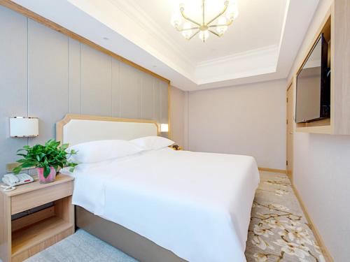 Imagen de la habitación del Hotel Vienna SanHao Jiangsu Danyang Jinying. Foto 8