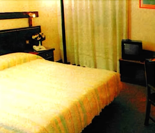 Imagen de la habitación del Hotel Vienna, Venecia. Foto 9