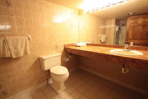 Imagen de la habitación del Hotel Vienna, Windham. Foto 7