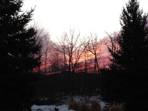 Imagen de la habitación del Hotel Vienna, Windham. Foto 8