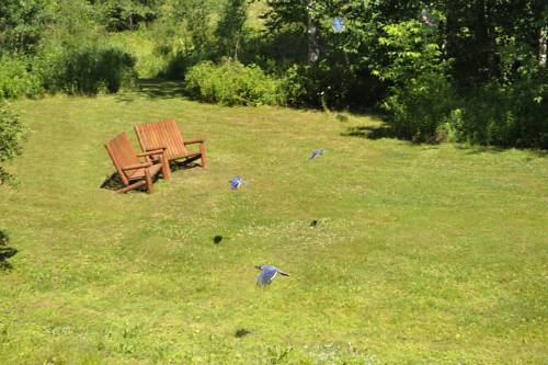 Imagen de la habitación del Hotel Vienna, Windham. Foto 11