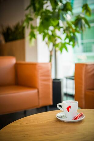 Imagen general del Hotel Vigo, Eforie Nord. Foto 48