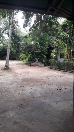 Imagen de los exteriores del Hotel Vijitporn House. Foto 18