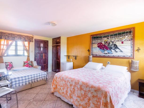 Imagen de la habitación del Hotel Viking, Conde. Foto 12