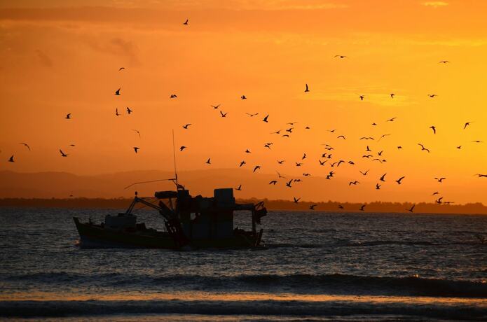 Imagen general del Hotel Viking Inn Privilege. Foto 10