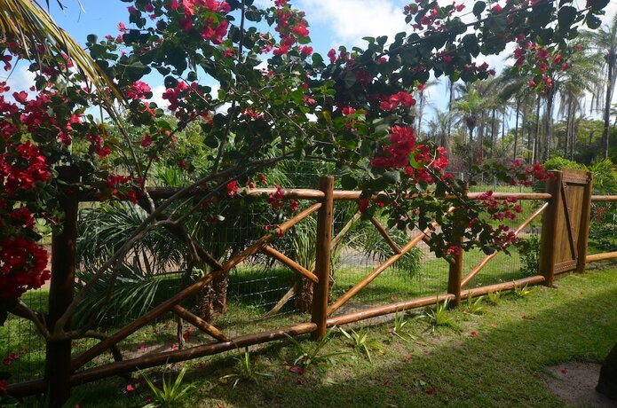 Imagen general del Hotel Viking Inn Privilege. Foto 11