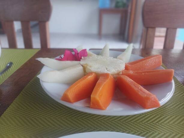 Imagen general del Hotel Viking Inn Privilege. Foto 18