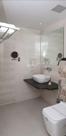 Imagen de la habitación del Hotel Vikram Palace. Foto 4