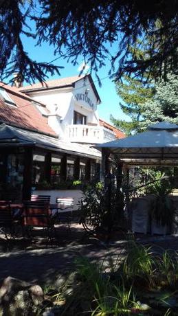 Imagen general del Hotel Vikt&oacute;ria, Balatonalmadi. Foto 1