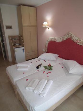 Imagen general del Hotel Viky, Sarti. Foto 8