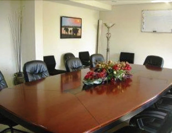 Imagen de los interiores del Hotel Vila Alice. Foto 14