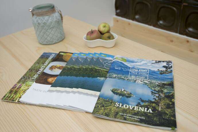 Imagen general del Hotel Vila Alpina. Foto 7