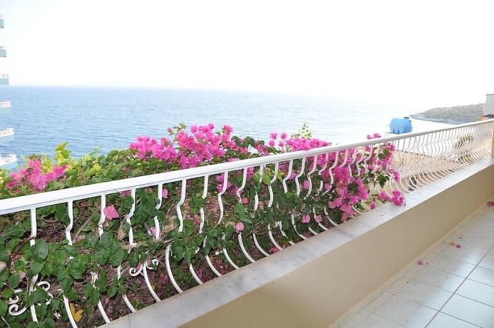 Imagen de los exteriores del Hotel Vila Alvin and Apartments. Foto 13