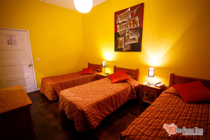 Imagen de la habitación del Hotel Vila Camacho Guest House. Foto 7