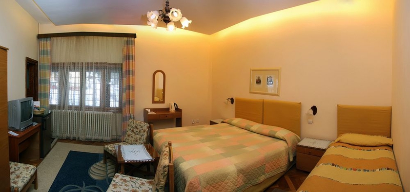 Imagen de la habitación del Hotel Vila Camelia Sinaia. Foto 5