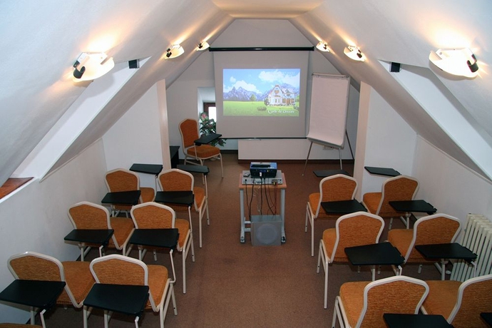 Imagen de los interiores del Hotel Vila Camelia Sinaia. Foto 16