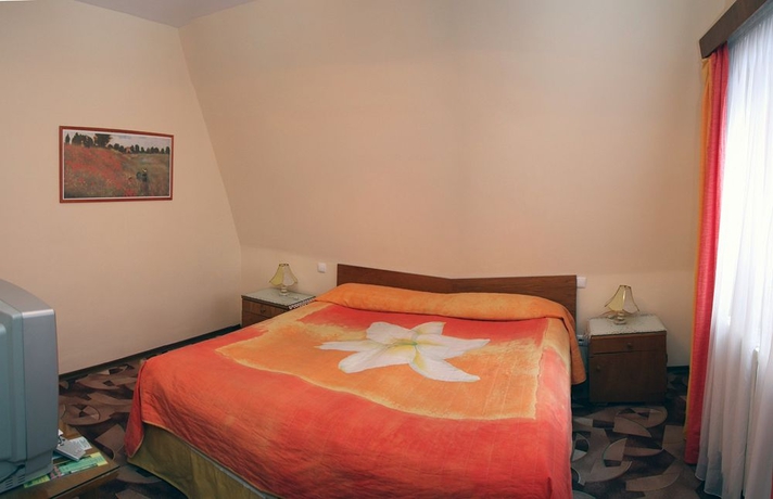 Imagen de la habitación del Hotel Vila Camelia Sinaia. Foto 9