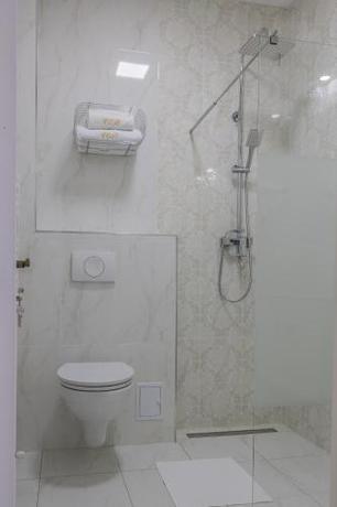 Imagen general del Hotel Vila Central Boutique Satu Mare. Foto 6