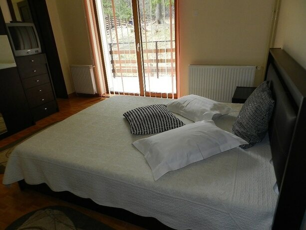 Imagen de la habitación del Hotel Vila Cristalfrost. Foto 14