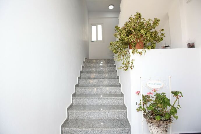 Imagen general del Hotel Vila Dodaj. Foto 6