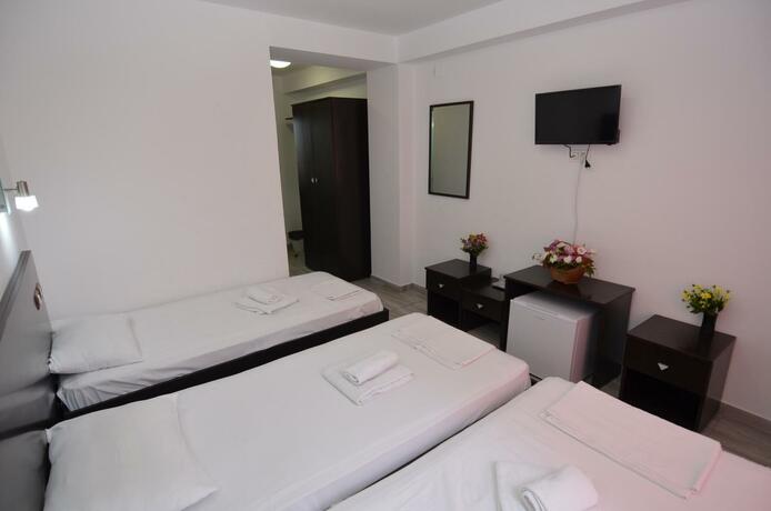 Imagen general del Hotel Vila II Poieniţa. Foto 5