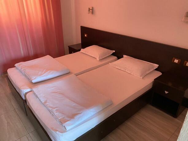 Imagen general del Hotel Vila II Poieniţa. Foto 6