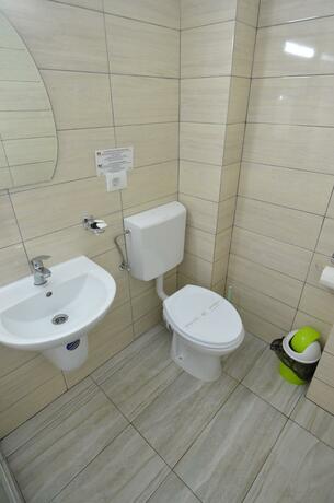 Imagen general del Hotel Vila II Poieniţa. Foto 9