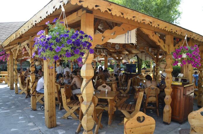 Imagen general del Hotel Vila II Poieniţa. Foto 16