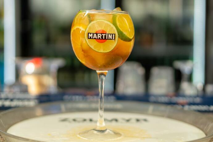 Imagen general del Hotel Vila II Poieniţa. Foto 24