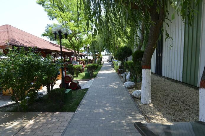 Imagen general del Hotel Vila II Poieniţa. Foto 31