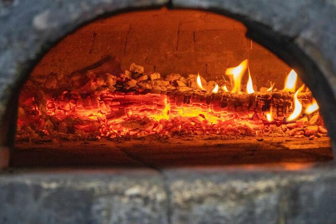 Imagen general del Hotel Vila II Poieniţa. Foto 45