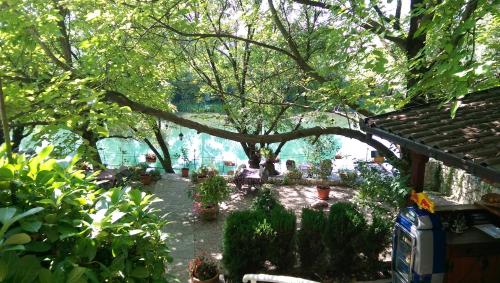Imagen general del Hotel Vila Ivanković. Foto 4