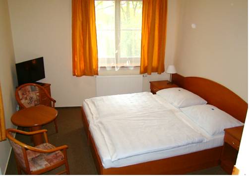 Imagen de la habitación del Hotel Vila Lanna. Foto 10
