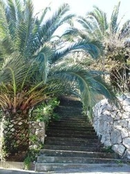 Imagen general del Hotel Vila Peragic. Foto 8