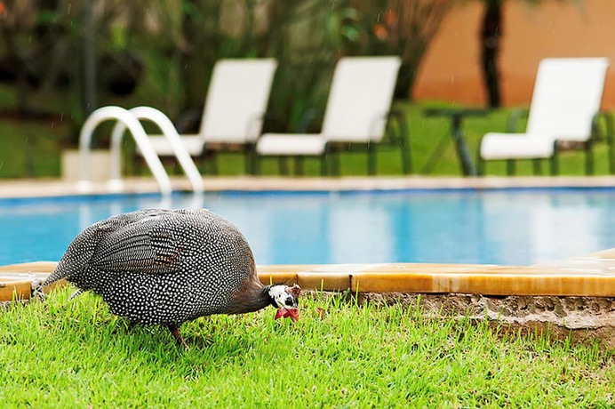 Imagen de la piscina del Hotel Vila Real. Foto 20