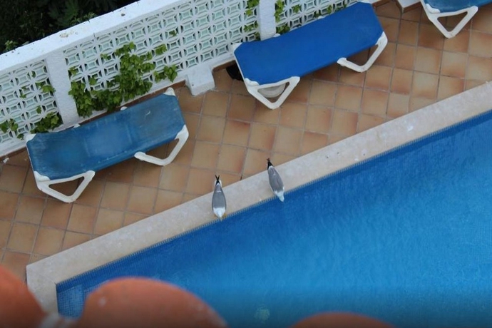 Imagen general del Hotel Vila Recife. Foto 4