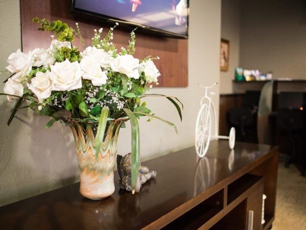 Imagen de los interiores del Hotel Vila Romana Park. Foto 18