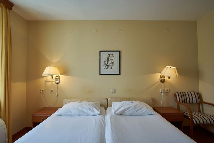 Imagen general del Hotel Vila Ruzica. Foto 8