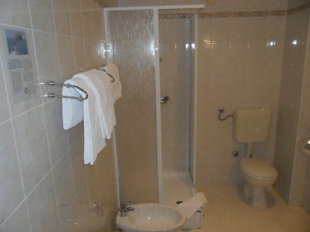 Imagen de la habitación del Hotel Vila Ruzica. Foto 16