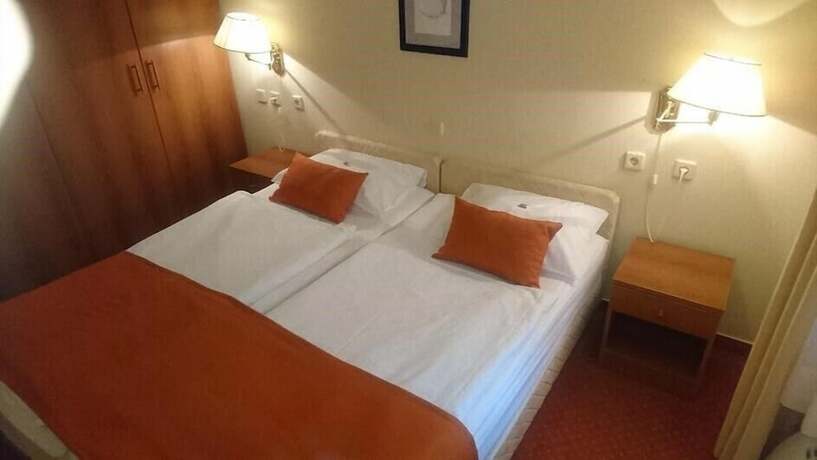 Imagen de la habitación del Hotel Vila Ruzica. Foto 17