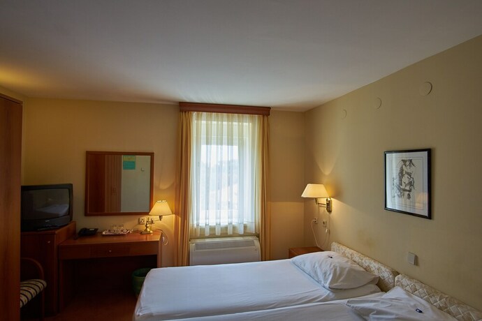 Imagen de la habitación del Hotel Vila Ruzica. Foto 19