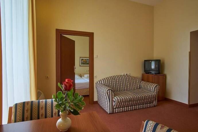 Imagen de la habitación del Hotel Vila Ruzica. Foto 21