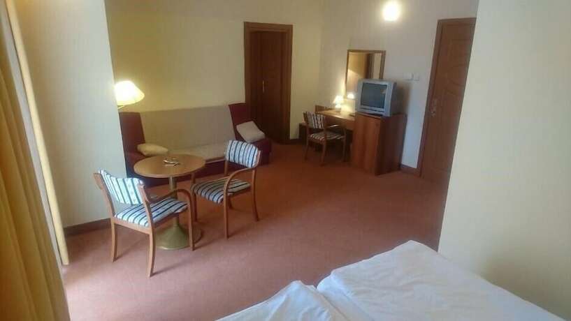 Imagen de la habitación del Hotel Vila Ruzica. Foto 24