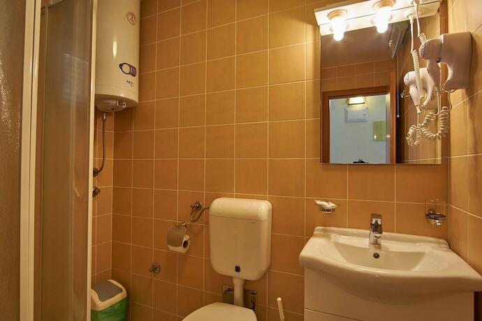 Imagen de la habitación del Hotel Vila Ruzica. Foto 26