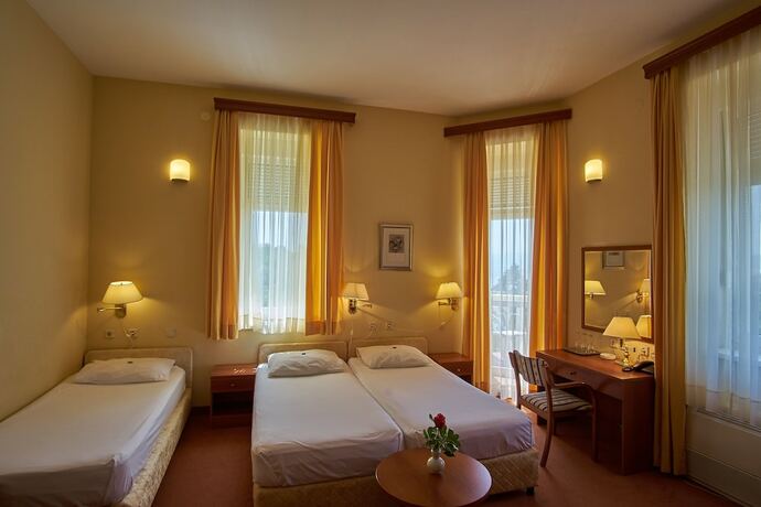 Imagen de la habitación del Hotel Vila Ruzica. Foto 27