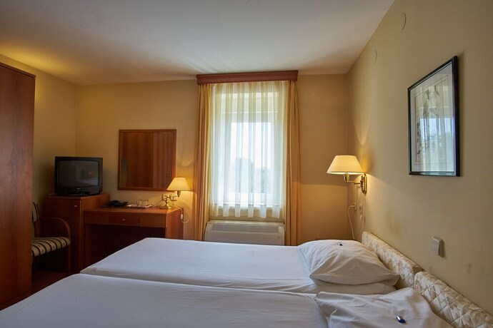 Imagen de la habitación del Hotel Vila Ruzica. Foto 28
