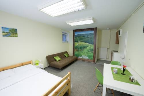 Imagen de la habitación del Hotel Vila Teslova. Foto 8