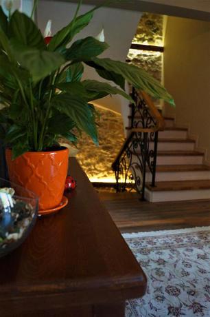 Imagen general del Hotel Vila Trebicka. Foto 7