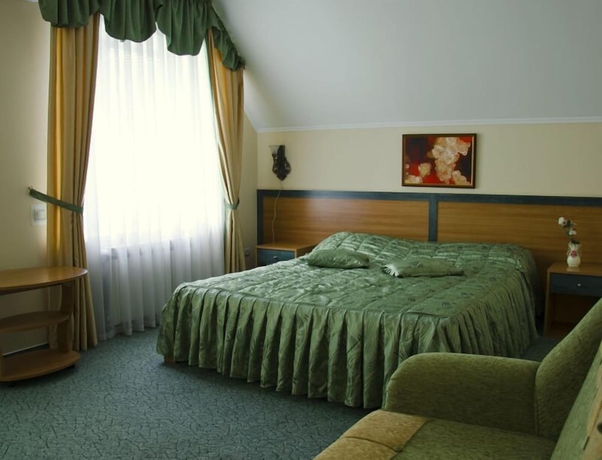 Imagen de la habitación del Hotel Vila Verde, Chisinau. Foto 7